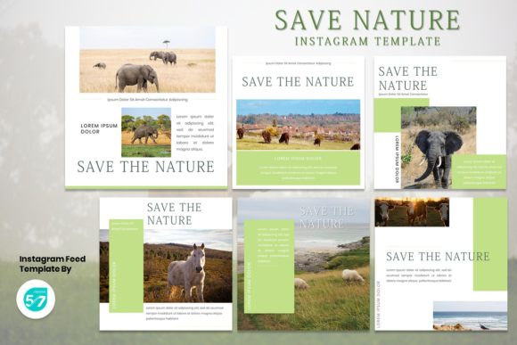 Elevate Your Visual Storytelling with Instagram Feed - Save the Nature